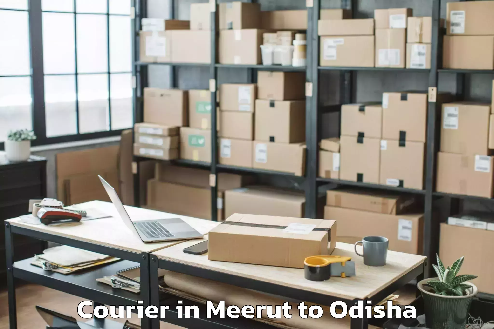 Affordable Meerut to Thuamul Rampur Courier